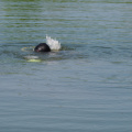 P4270027